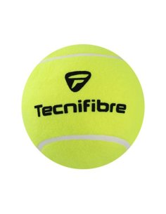  Сувенірний м'яч Tecnifibre 24см фото від «TennisPortal» Київ Україна