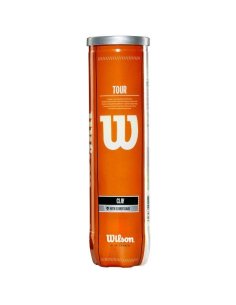 WRT110500 М'ячі тенісні W TOUR CLAY TBALL 4 BALL CAN SS18 фото від «TennisPortal» Київ Україна